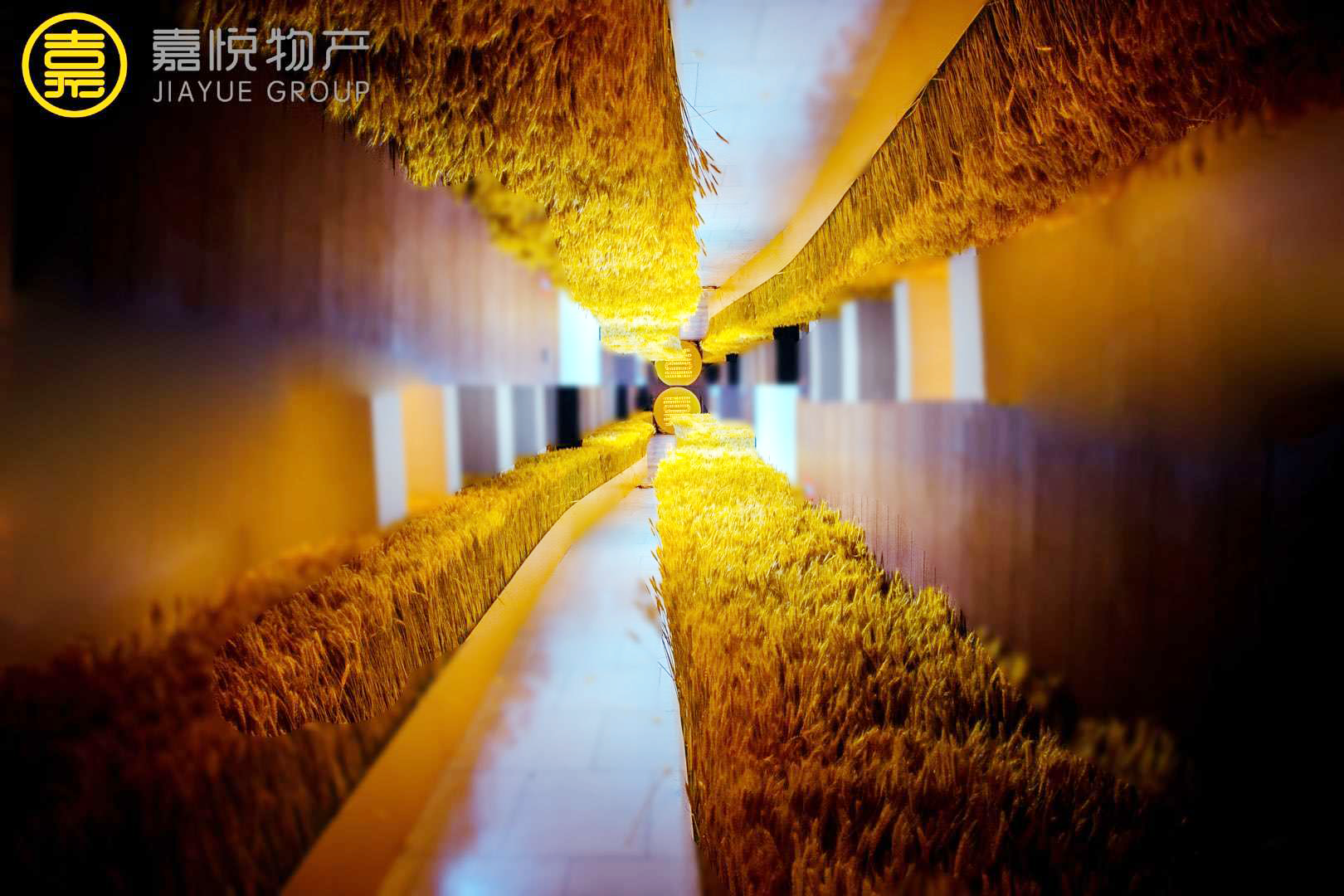 麥穗.png