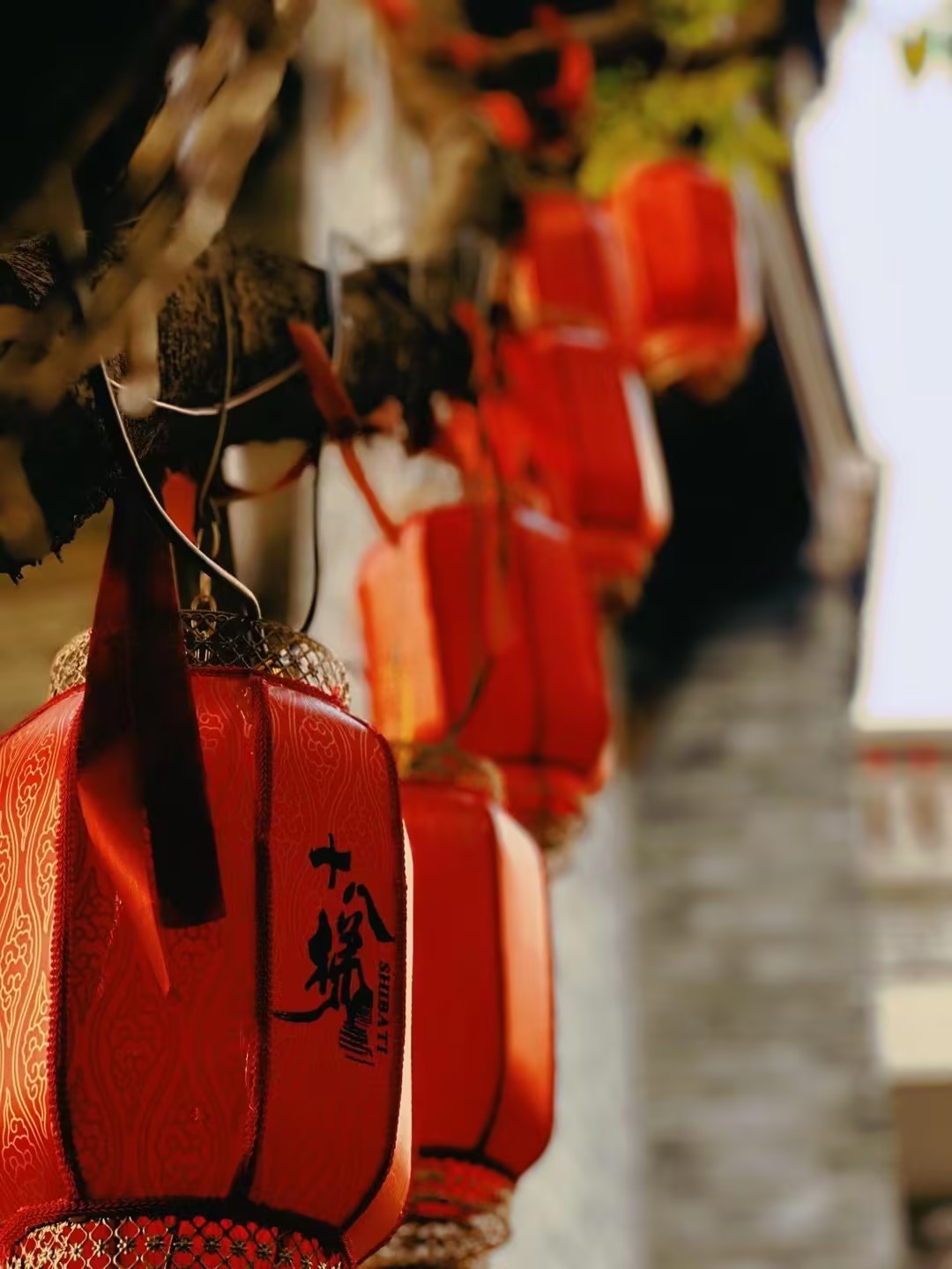 黑色朱振偉-山城元日（一）.jpg