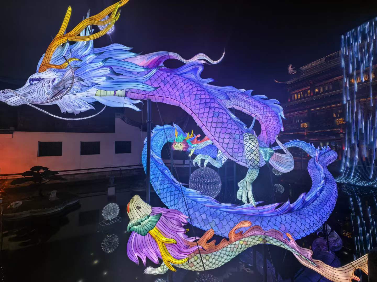 聚酯沈溢霞-龍舞新春，共創(chuàng)輝煌.png